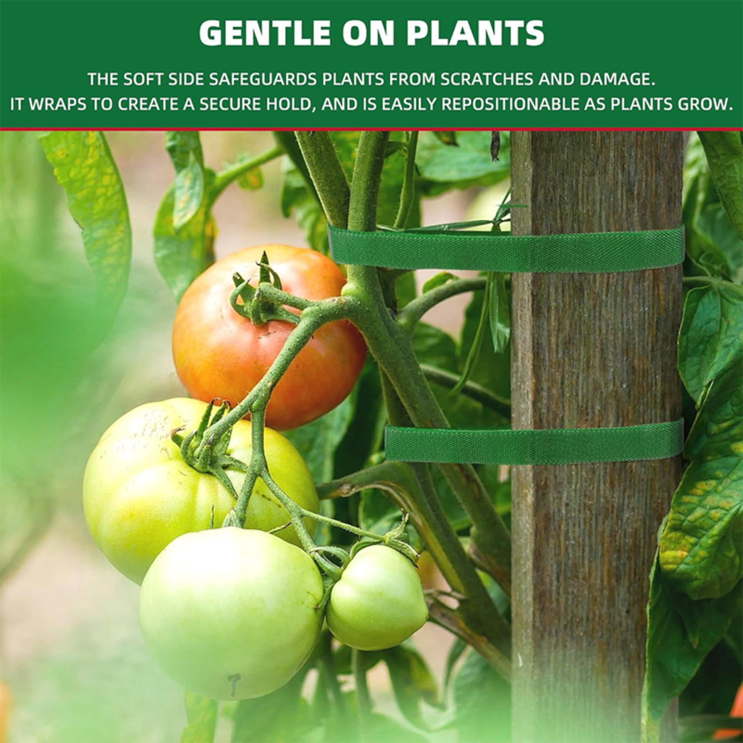 2-100M Adjustable Plant Nylon  - đánh giá và giá Gear Tie Reusable
