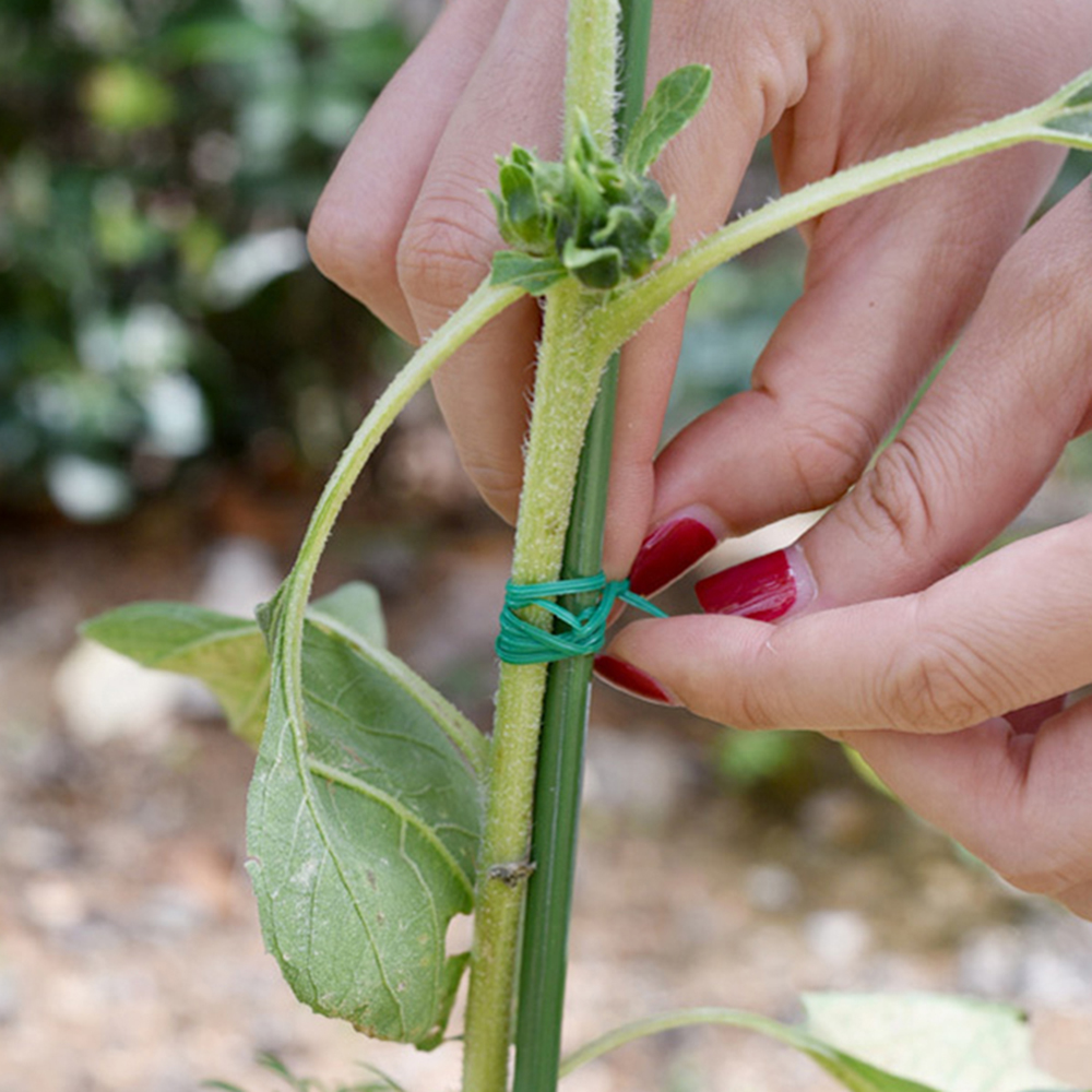 Multifunctional Garden Twist T - đánh giá và giá Gear Tie Reusable