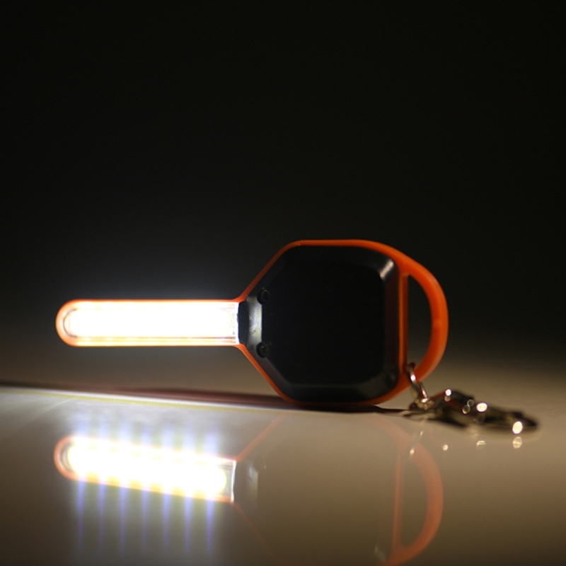 Mini Keychain  Keys Shape Mini - đánh giá và giá Compass Keychain Mini