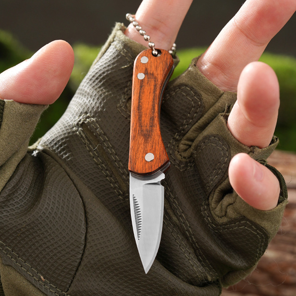 Small Keychain Pocket Knife Ev - đánh giá và giá Edc Day Carry