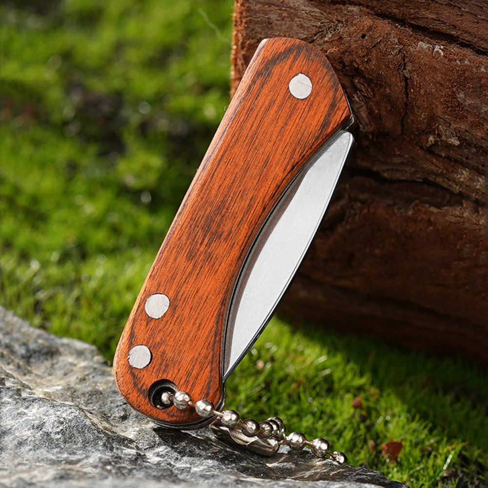 Small Keychain Pocket Knife Ev - đánh giá và giá Edc Day Carry