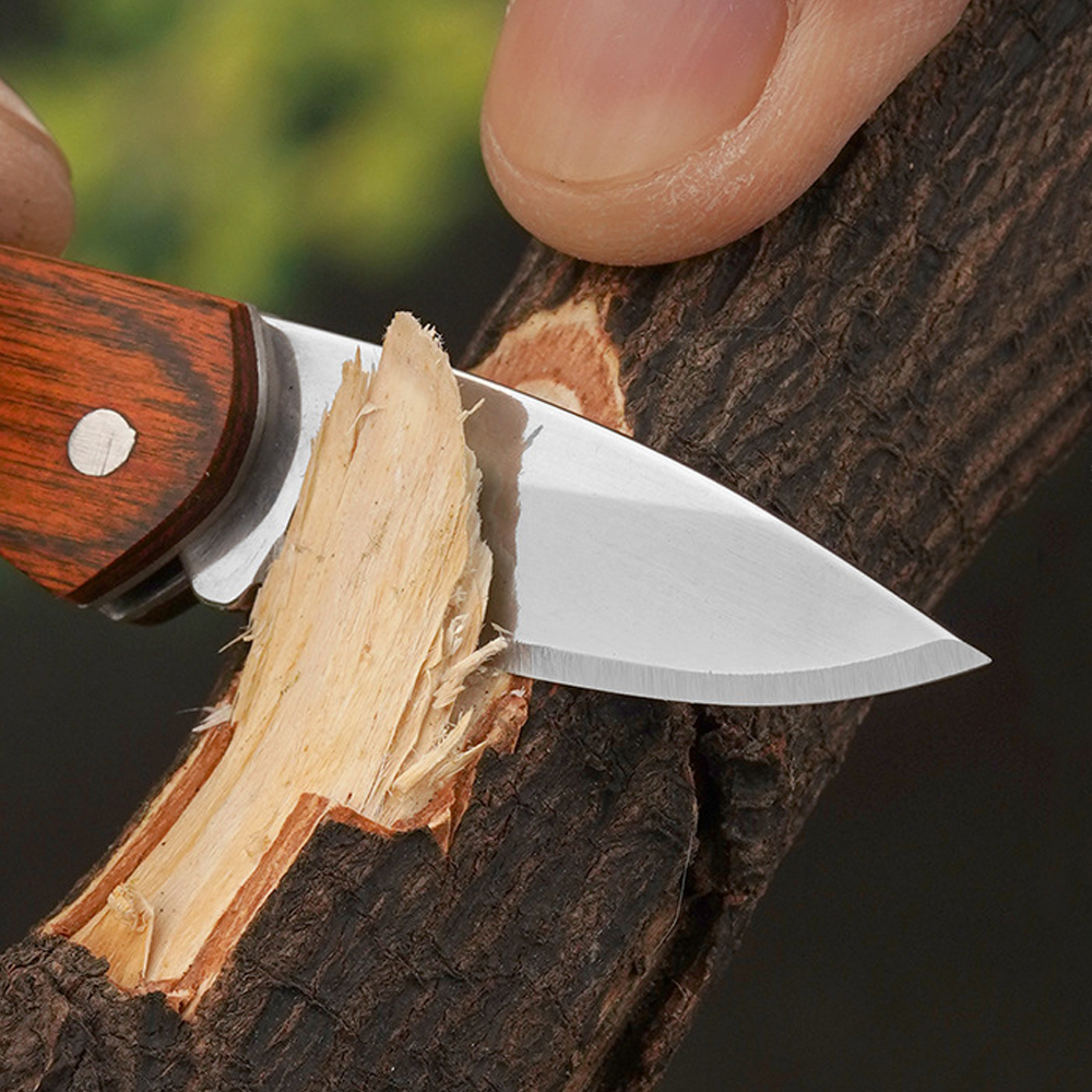 Small Keychain Pocket Knife Ev - đánh giá và giá Edc Day Carry