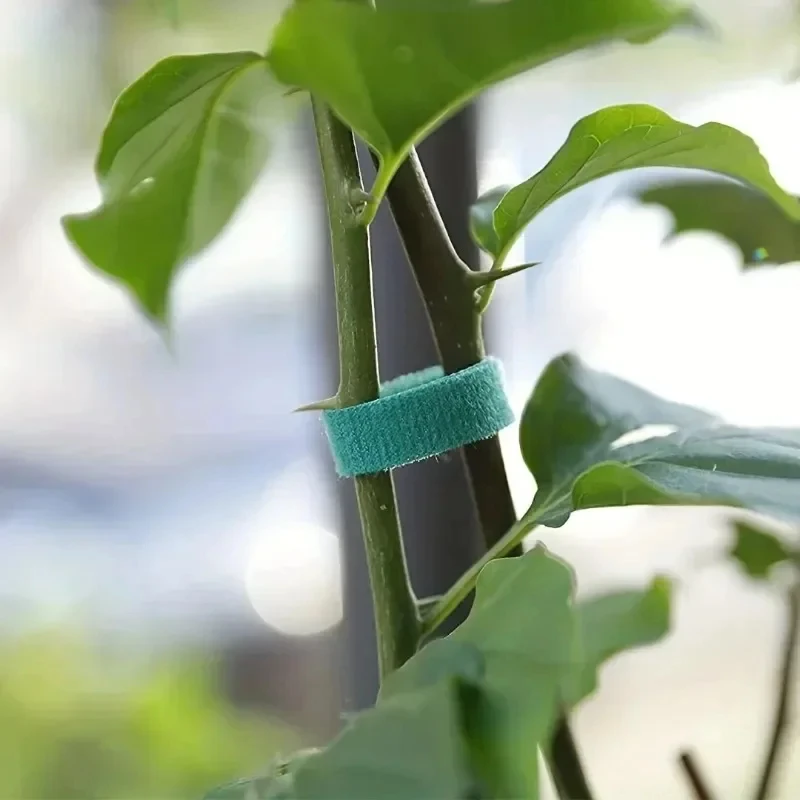 10m/25m Reusable Nylon Plant T - đánh giá và giá Gear Tie Reusable